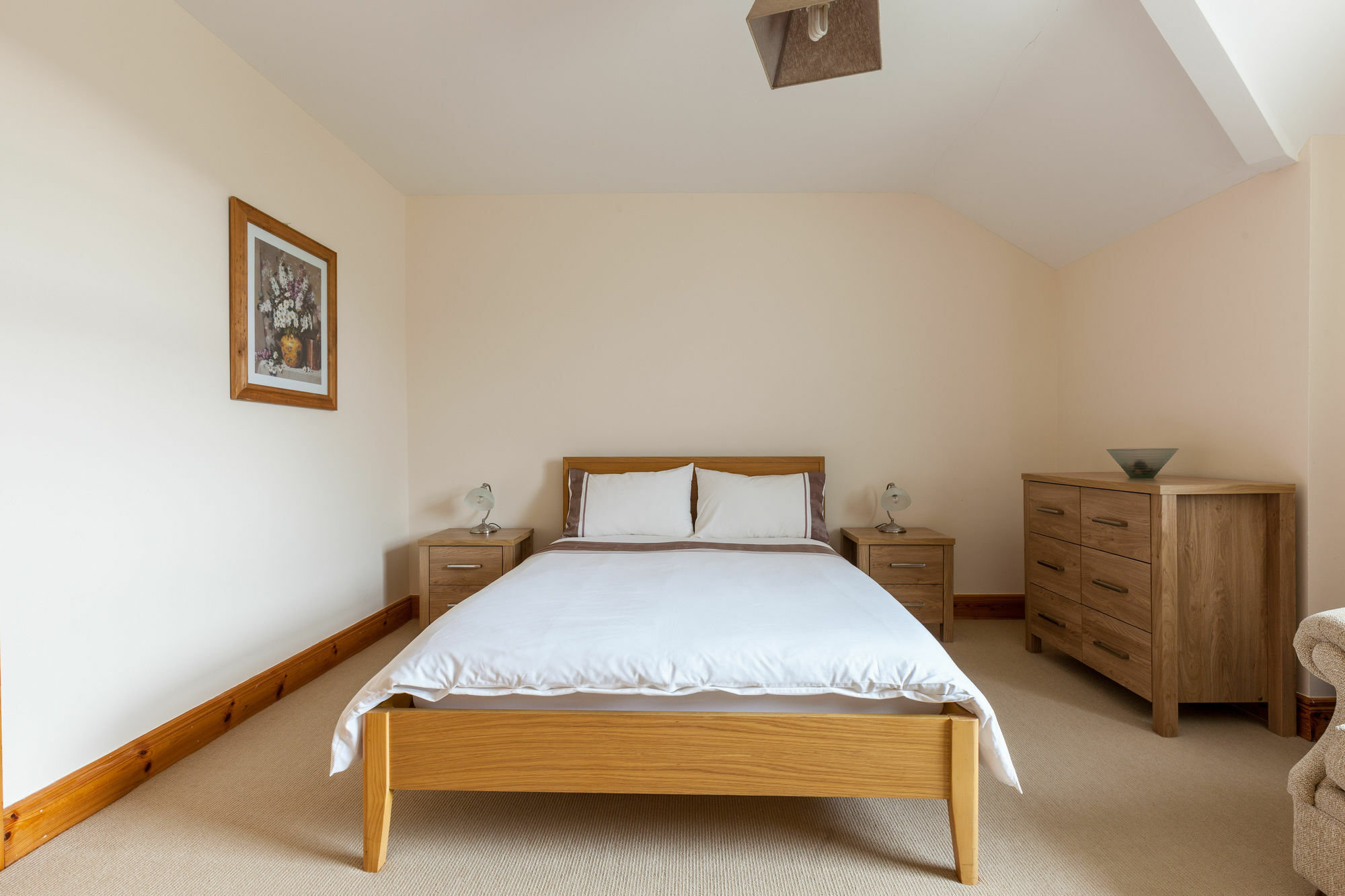 Belfast Homestay Apartment Extérieur photo